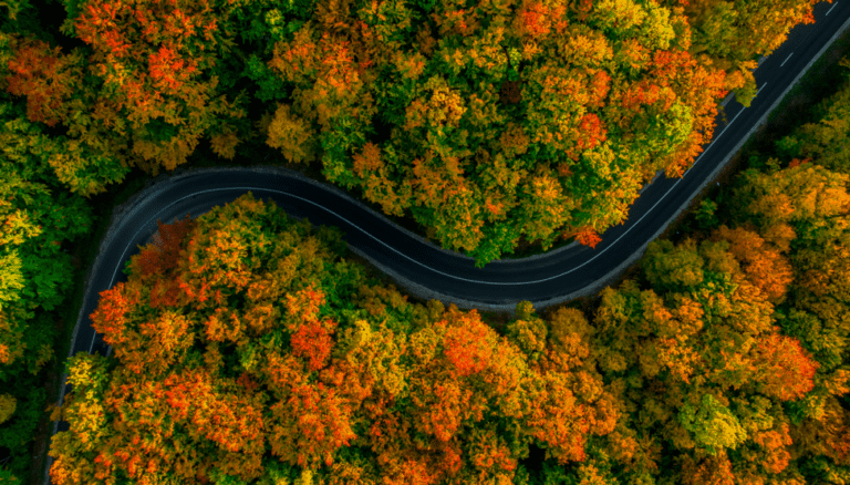 drone shot of highway cutting through trees in autumn