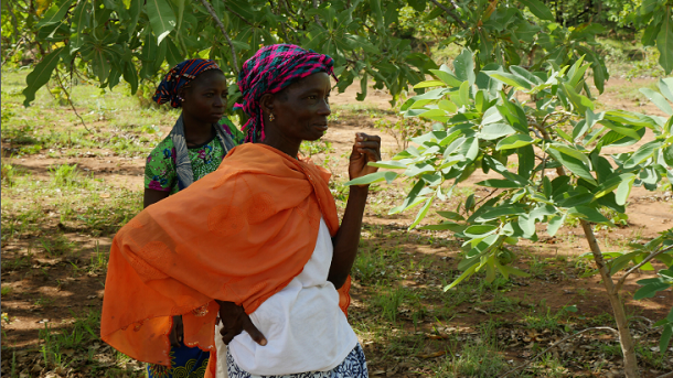 african woman on path as example of climate change as CSR