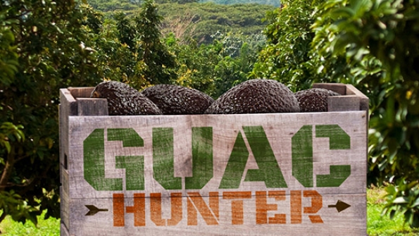 GUAC HUNTER GAME FROM CHIPOTLE