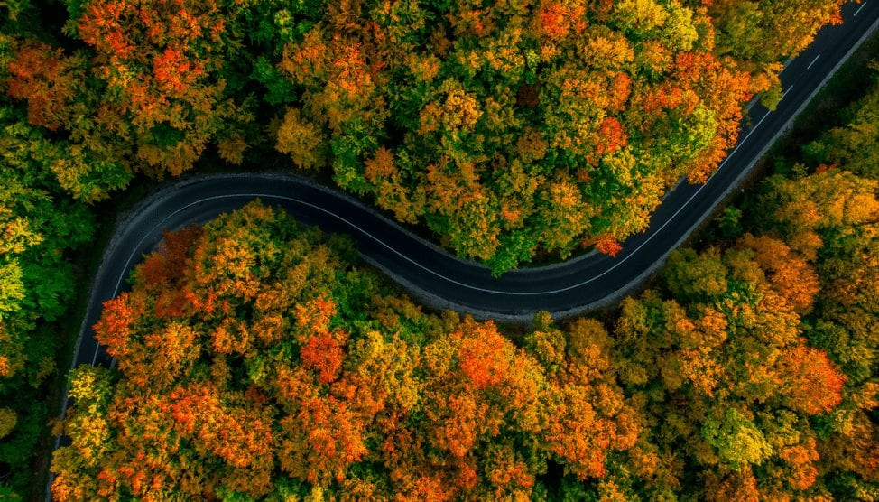 drone shot of highway cutting through trees in autumn using aerial videography technique
