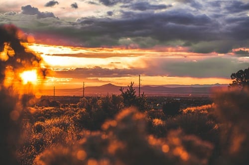 new mexico landscape with shrubs and flat ground at golden hour